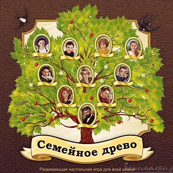 Как найти свою родословную