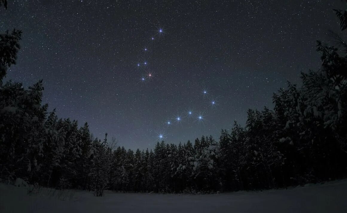 Звездное небо большая и малая медведица