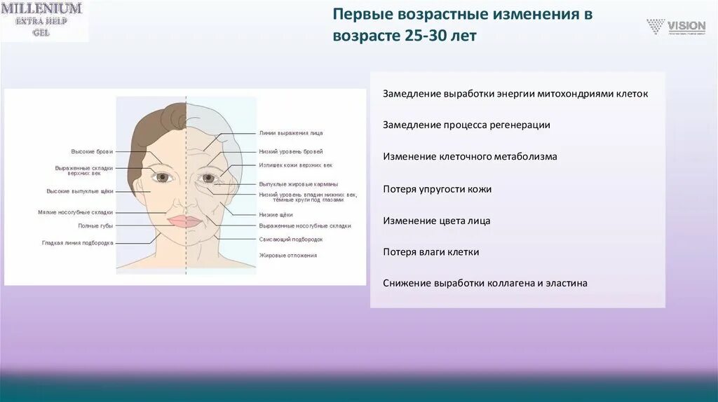 Возрастные изменения кожи. Первые возрастные изменения кожи. Изменения кожи лица с возрастом. Кожа возрастные особенности регенерация.