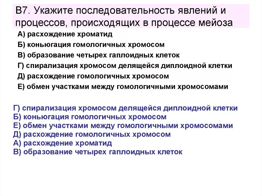 Мейоз последовательность процессов. Последовательность процессов происходящих в ходе мейоза. Последовательность процессов, происходящих в мейозе i. Последовательность процессов происходящих при мейозе. Последовательность событий при мейозе