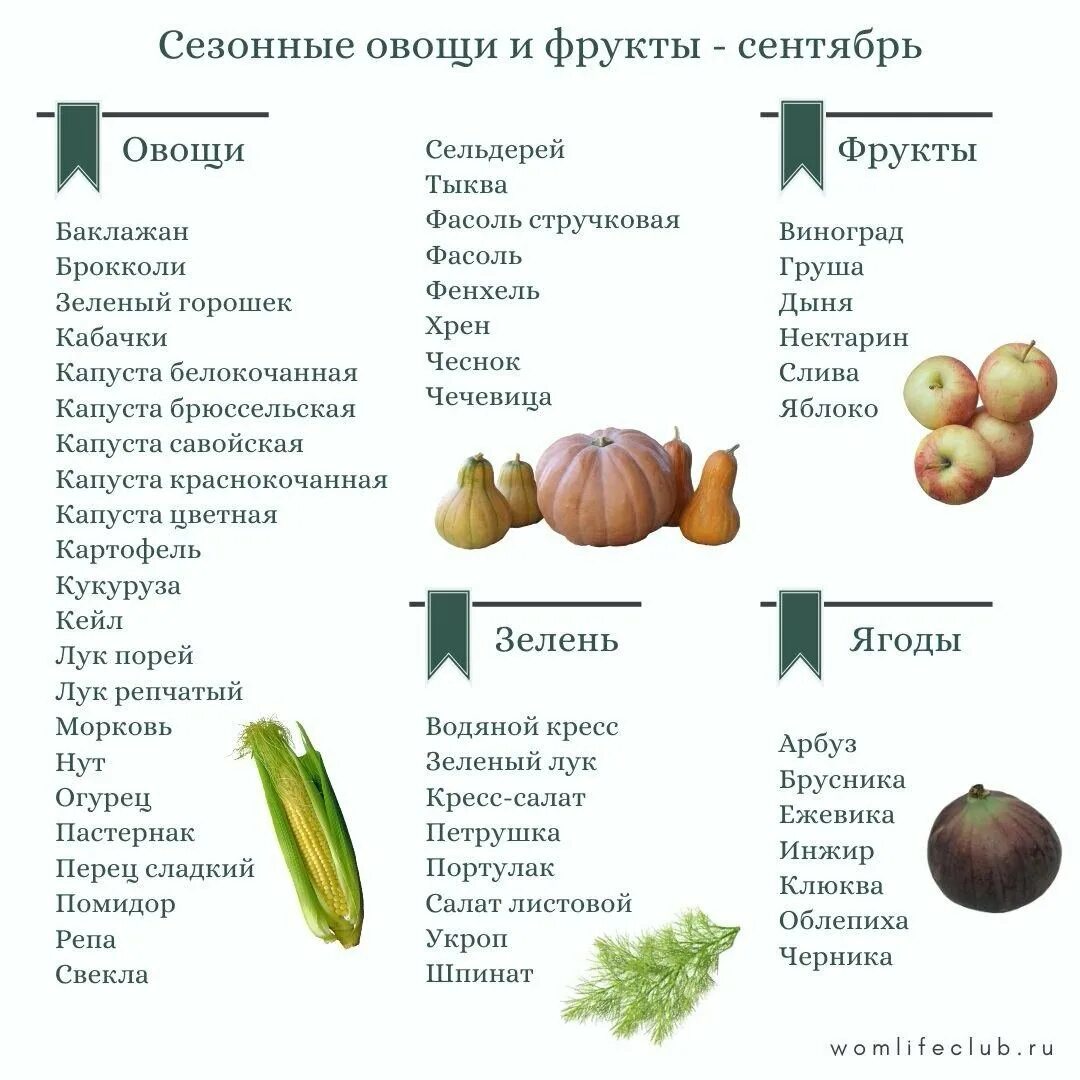 Сезонность продуктов. Сезонные фрукты и овощи по месяцам в России таблица. Сезонные продукты в России по месяцам таблица. Сезонные фрукты. Сезонные овощи и фрукты сентябрь.