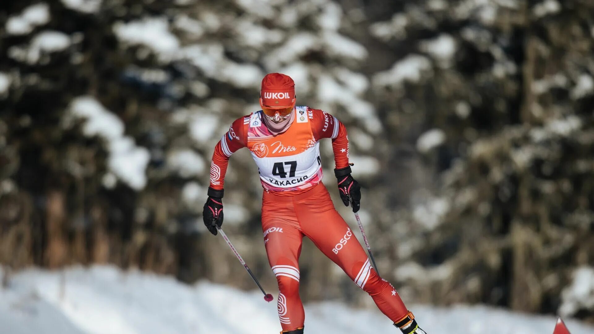 Лыжные гонки непряева. Эбба андерссон лыжные гонки. Валь ди фьемме италия тур де ски. Лыжные гонки сегодня женщины 10 км. Лыжница сван шведская.