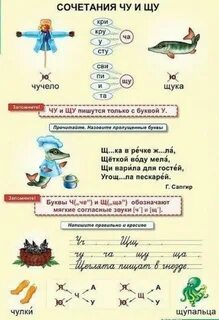Чулок русский язык