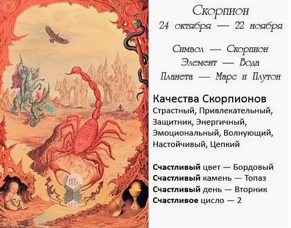 Скорпион знак зодиака характеристика. Скорпион характеристика знака. Скорпион знак зодиака аракт. Скорпион гороскоп характеристика. Скорпион лучший знак зодиака