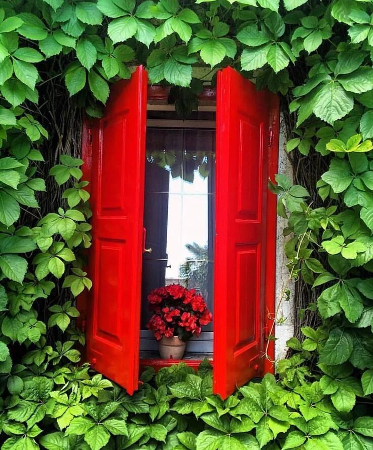 Red window