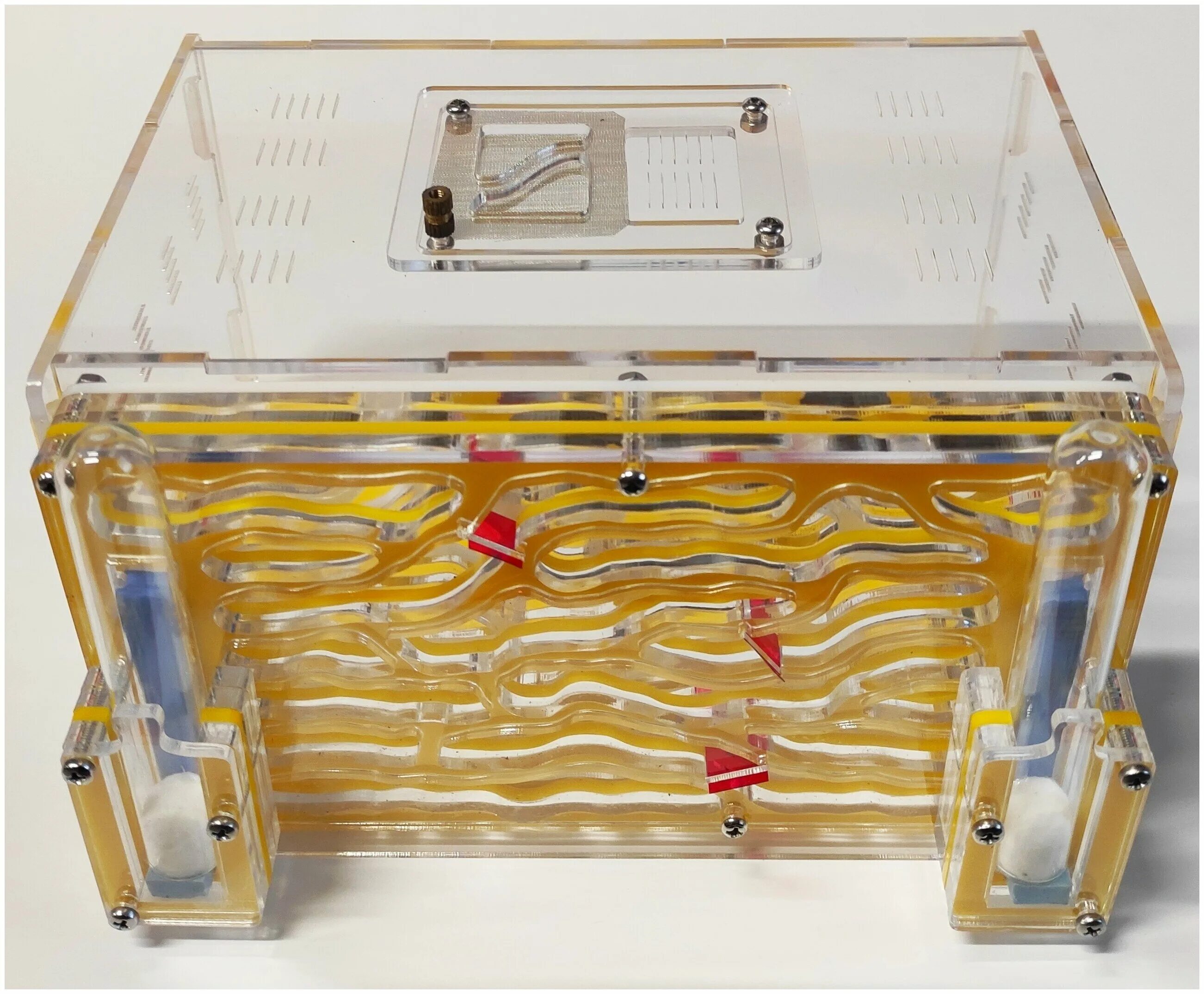 Ант сити муравьиная ферма. Топ ант муравьиная ферма. Ant city. Муравьиная ферма ант планет. Муравьиная ферма antsrussia g60 стандарт.