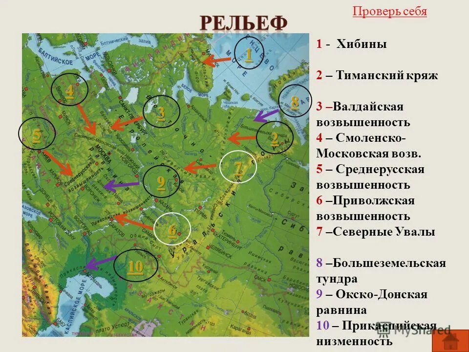 В каком направлении понижается. Рельеф Восточно-европейской равнины карта. Рельеф Восточно европейской равнины на карте России. Восточно-европейская равнина Среднерусская возвышенность. Физ карта Восточно европейской равнины.