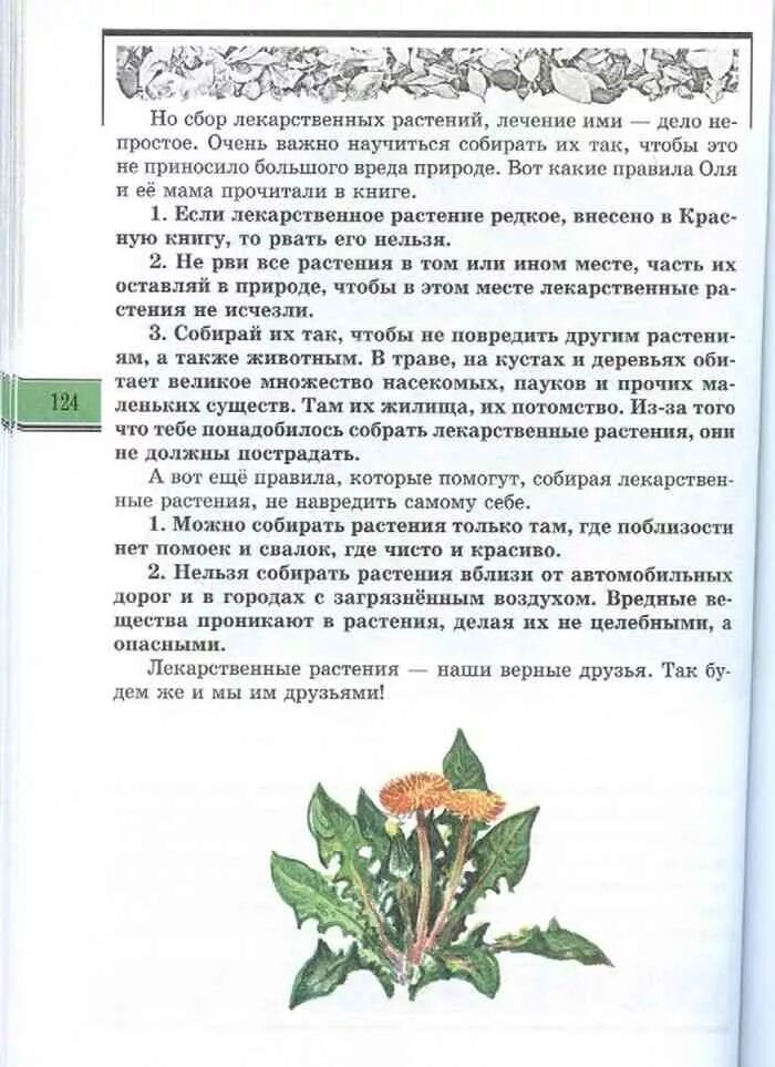Рассказ великан на поляне 2 класс. Великан на поляне еще немного о редких растениях. великан на поляне о разнообразии лекарственных растений. книга великан на поляне лекарственных растений. великан на поляне лекарственные растения.
