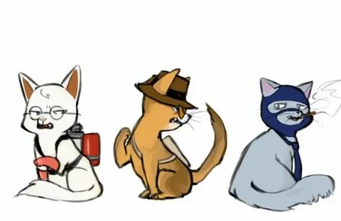 Коте шпион