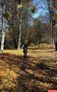 Прогулка осенним парком