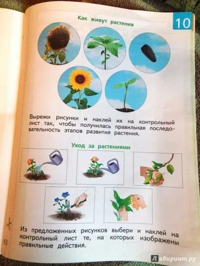 Альбом проектов окружающий мир Окружающий мир. 4 класс. Альбом проектов Сивоглазов Владислав Иванович купить