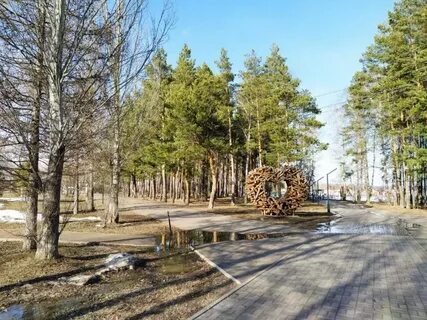День качи