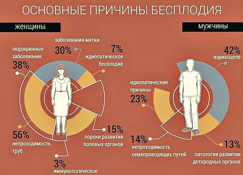 Женское и мужское бесплодие. Женское бесплодие. Причины бесплодия. Причины бесплодия у женщин. Бесплодие что делать