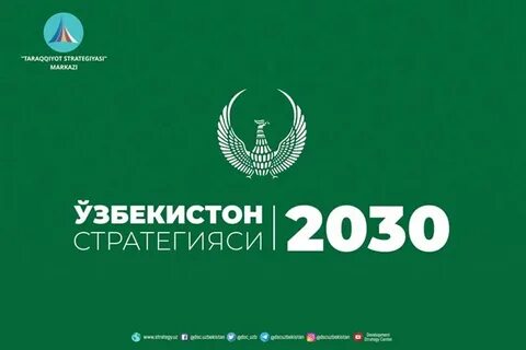 Стратегия новый узбекистан