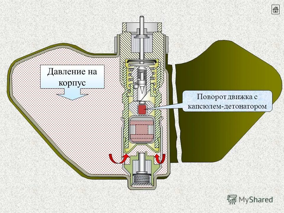 1 мина вес