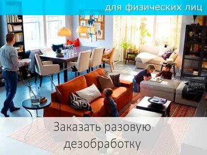 Сэс сочи