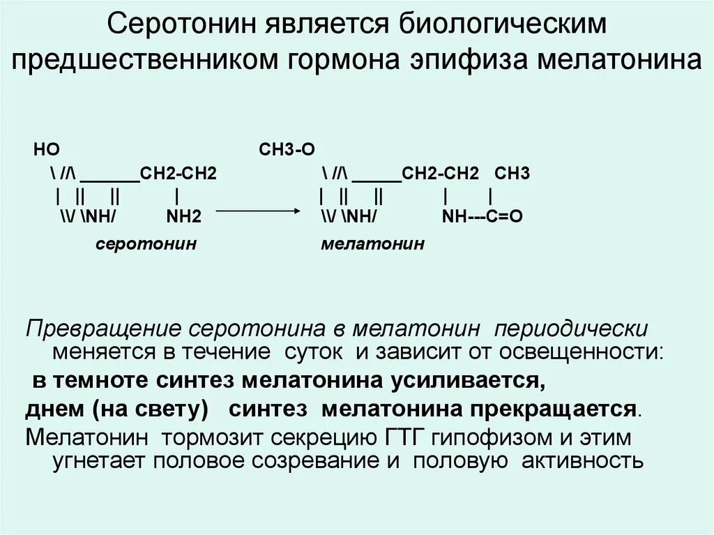 Синтез мелатонина. Синтез мелатонина из серотонина. Предшественник серотонина. Серотонин аминокислота предшественник. Синтез серотонина биохимия.