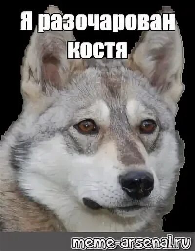 Разочаровало мем. Разочаровал мем. Разочаровало мем. Реальность полна разочарований мемы. Разочарован мем.