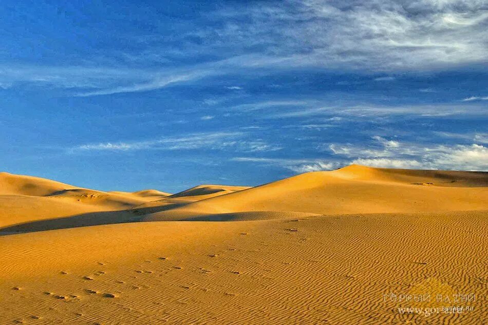 На каком материке крупнейшая пустыня. Тропическая пустыня. Самая большая пустыня. Самая большая пустыня в мире. Пустыни Австралии.