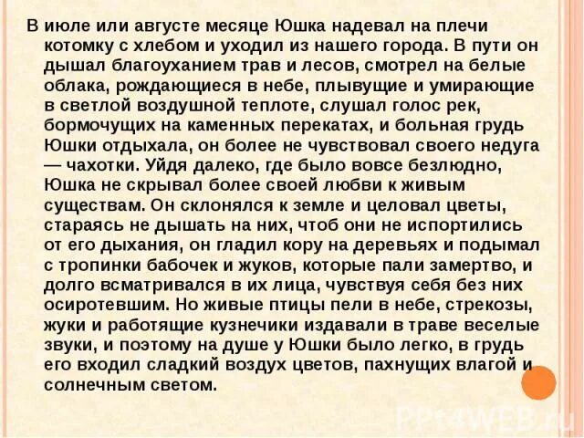 Презентация юшка Платонов. Юшка краткое содержание. Цветок юшка. Платонов юшка краткое содержание. Юшка платонов читать краткое содержание