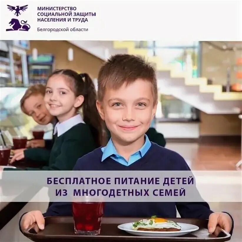 Бесплатное питание в школе многодетным как оформить. Бесплатное питание в школе многодетным как оформить