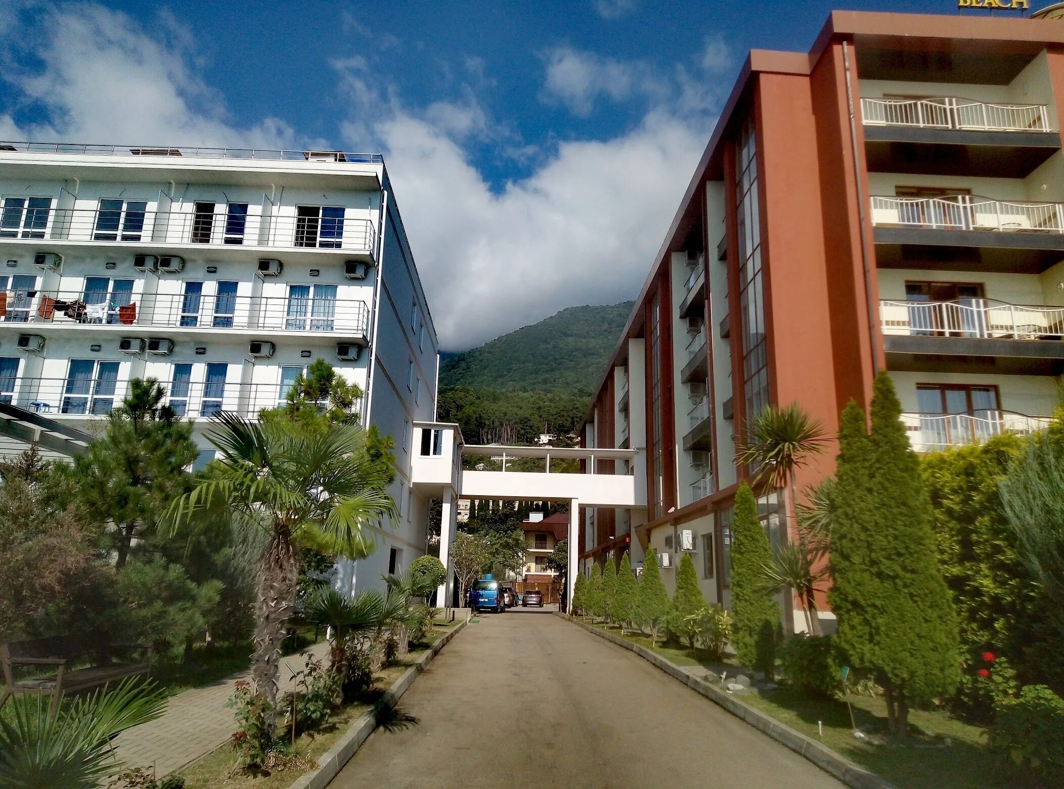 Отель алекс гагры отзывы. Alex beach hotel абхазия. Отель алекс гагры отзывы. Отель алекс гагры отзывы. Отель "alex resort & spa hotel".