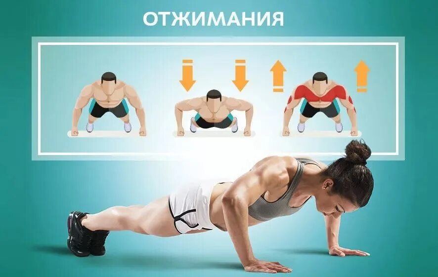 Техника отжиманий от пола гто. Отжимание. Отжимания от пола. Техника отжиманий. Техника отжимания от пола.