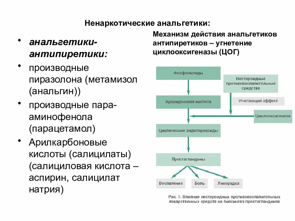 Анальгетики побочные. Механизм действия ненаркотических анальгетиков схема. Ненаркотические анальгетики механизм развития основных эффектов. Ненаркотические анальгетики препараты механизм действия. Основные фармакологические эффекты ненаркотических анальгетиков.