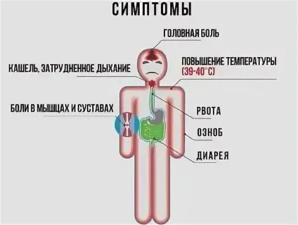 Что делать когда нет температуры. Температура тела 37. температура и головная боль. симптомы высокой температуры. болею температура.