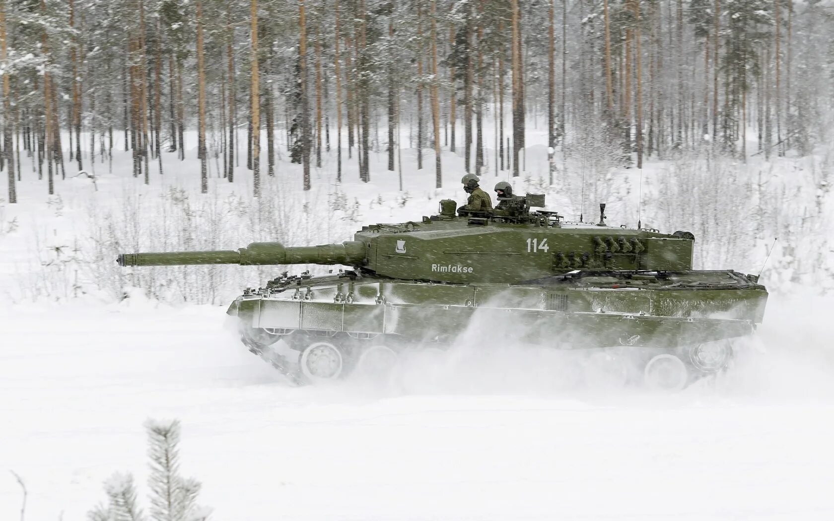 Snow leopard 2