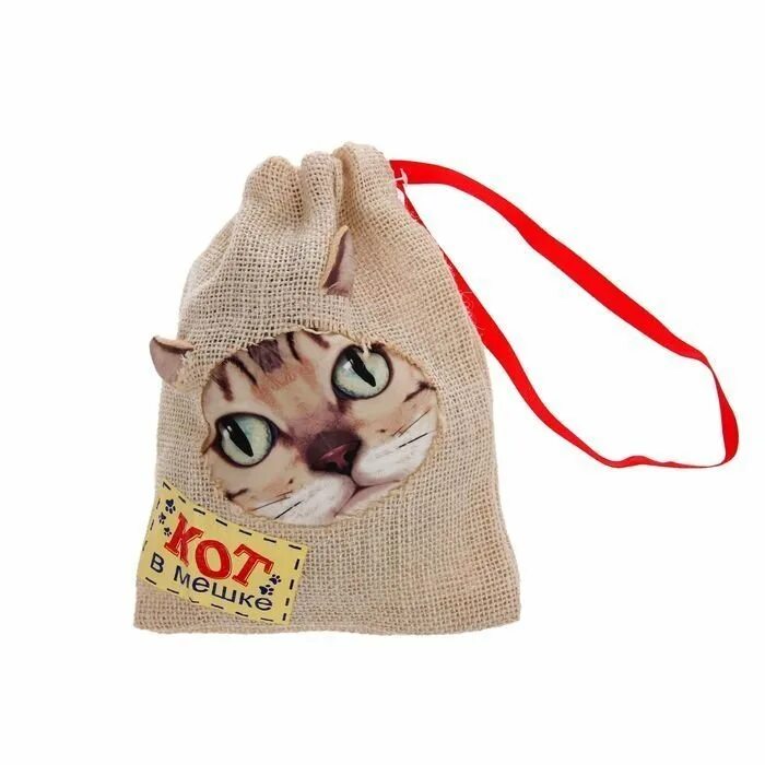 Кот в мешке пословица. Кот в мешке. игрушка кот в мешке. котик с мешком игрушка. кот с мешком подарков.