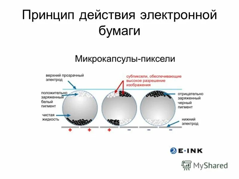 электронная бумага принцип действия. что такое электронная бумага опишите принцип действия. что такое электронная бумага опишите принцип действия. что такое электронная бумага опишите принцип действия. электронная бумага.