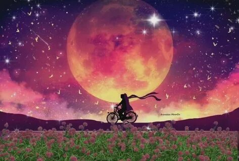 We dream in the evening