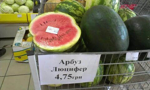 Скажи дыня