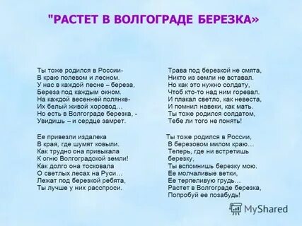 18 берез слова