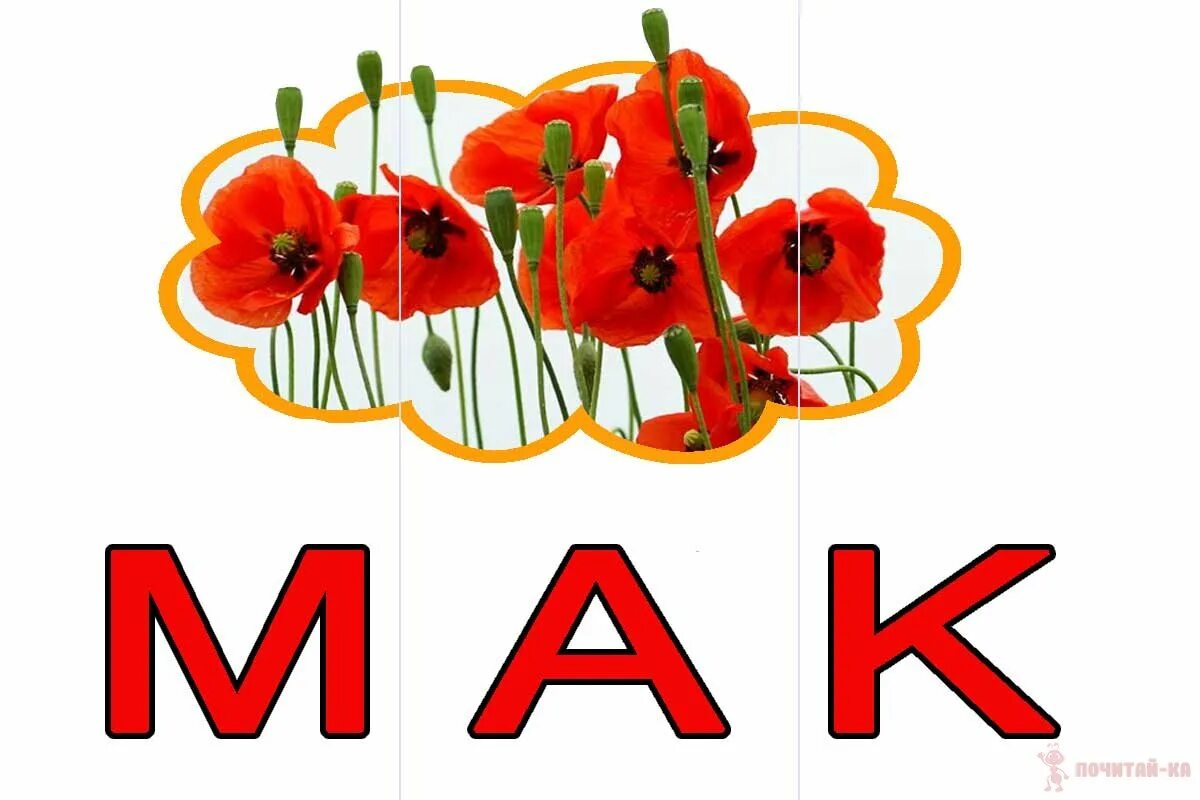 Слова из 3 букв с картинками. Слово из 3 букв цветок. Цветок проверочное слово. Слово из 3 букв цветок. Игра угадай растение.