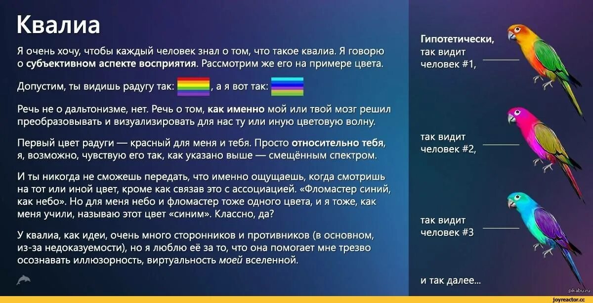 Как видят в 5 месяцев. Квалиа цвета. Квалиа в философии. Квалиа что это простыми словами. Пример Квалиа.