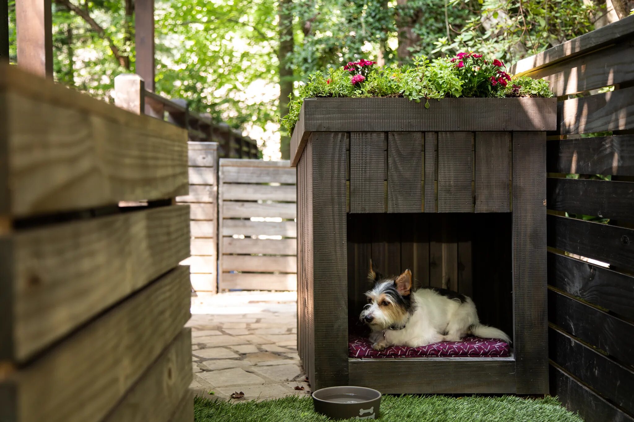 The dog house dog or alive демо. The dog house dog or alive демо. Dog in the house. Креативная будка для собаки. Коттедж для собаки.