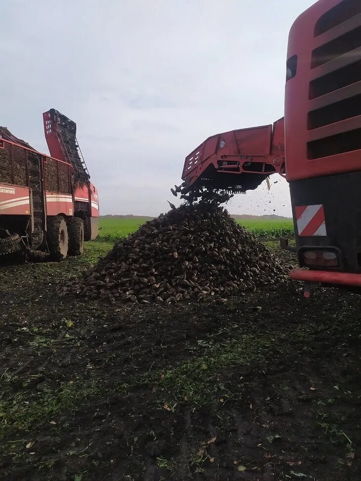 Директор залегощь-агро. Залегощенское 2 авангард агро. Залегощенский сахарный завод. Ооо авангард ливны. Залегощь агро.