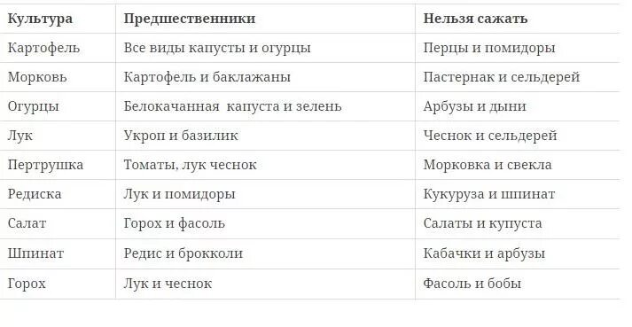 Что сажать после огурцов на следующий. Можно ли сажать морковь после капусты на следующий год. После каких культур сажать морковь. После чего сажать морковь на следующий год. После чего можно сажать морковь на следующий год.