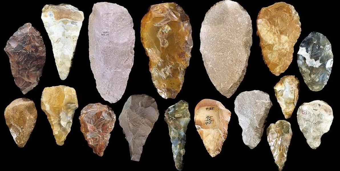 Как выглядит заостренный камень National Geographic Ancient humans, Prehistory, Ancient