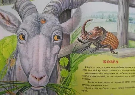 Козел читательский дневник