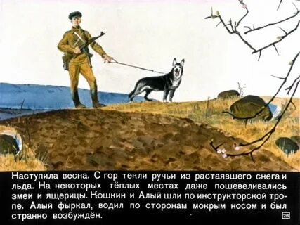 Алый главная мысль