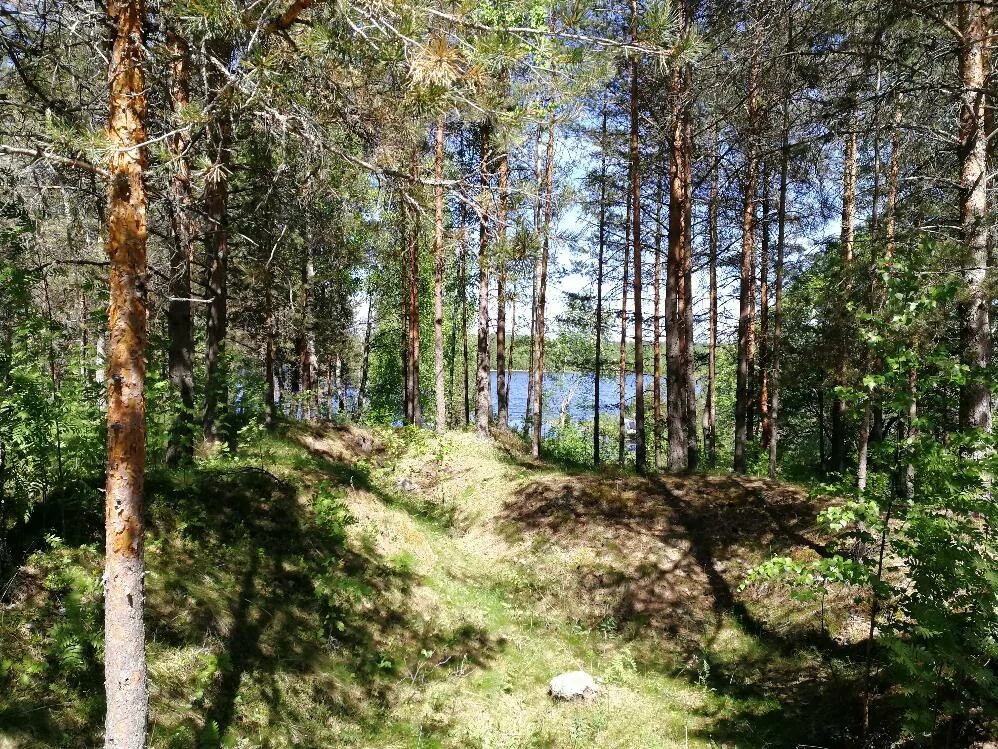 Барышево Ленинградская область. База в Барышево на Вуоксе. Озеро Барышево Челябинск. Посёлок Барышево Ленинградской области Вуокса. Окрестности базы