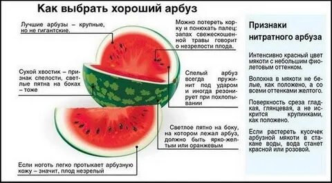 Дыня или арбуз что значит