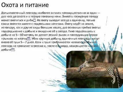 Почему считается что у леопарда нет серьезных