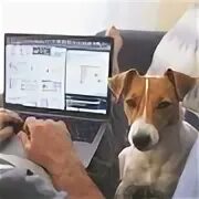Труд гарант