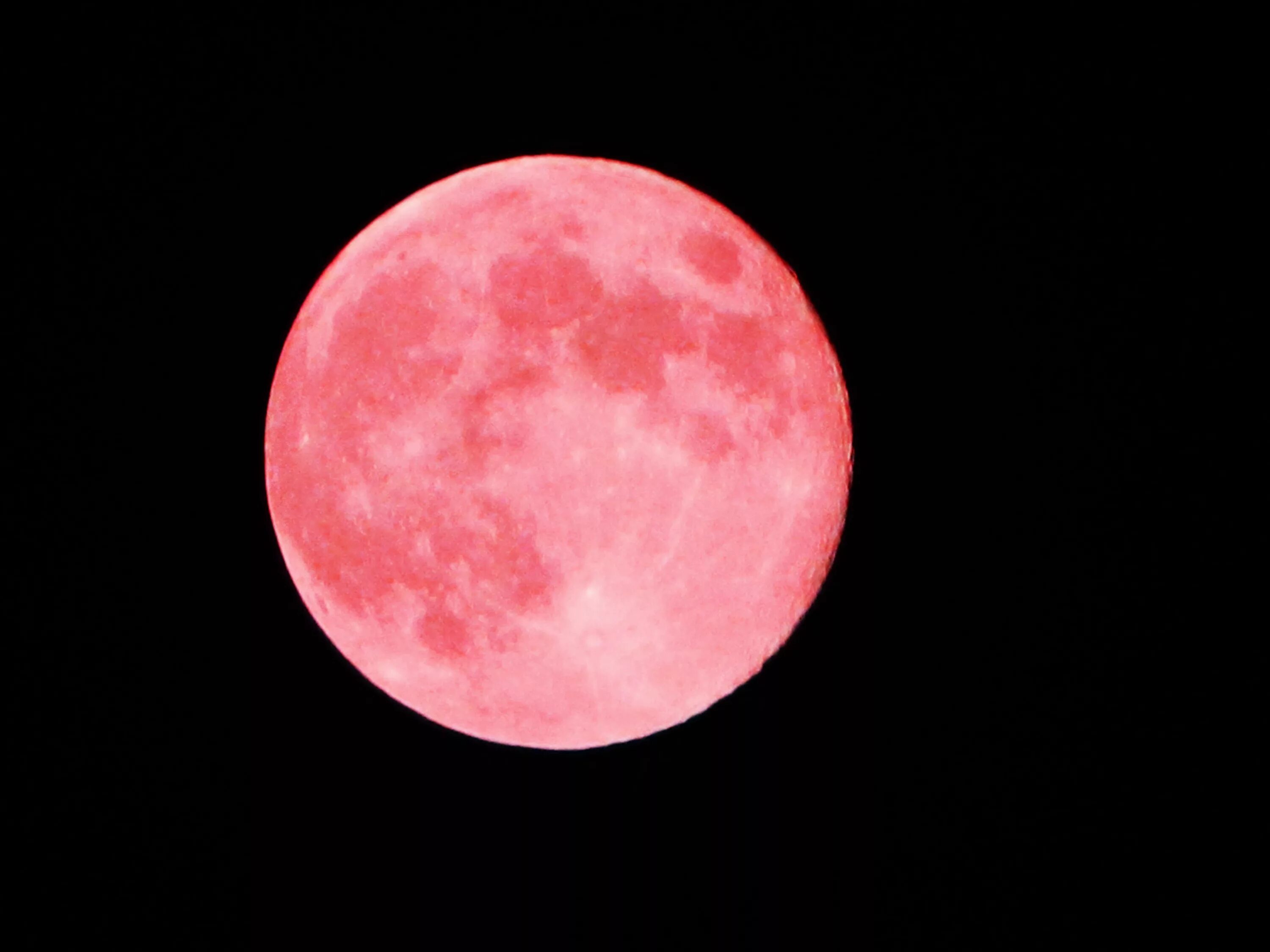 Розовая луна песня. Розовая Луна. Рощовая Луня. Розовое полнолуние. Розовое новолуние.