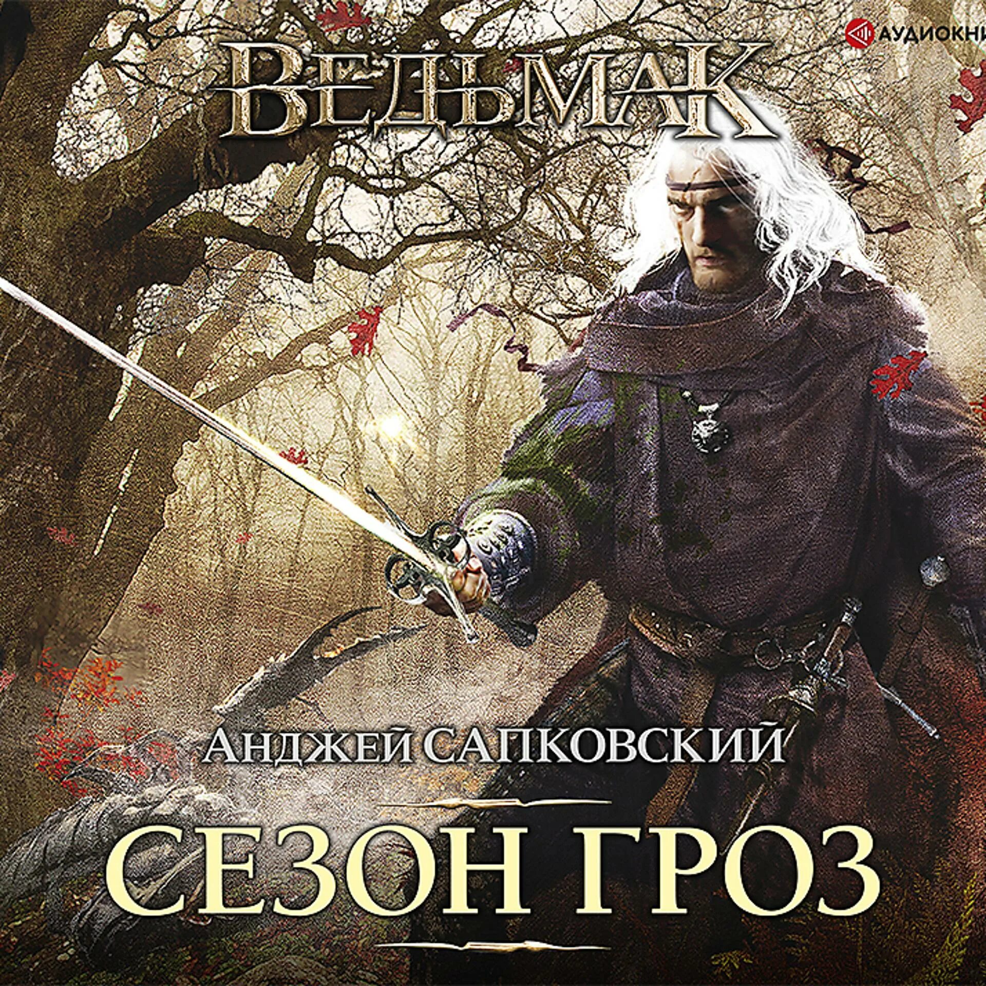 Кровь эльфов анджей сапковский книга. Ведьмак анджи сапковский аудиокниги. Сапковский анджей - ведьмак 7, владычица озера. Анджей сапковский ведьмак кровь эльфов. Анджей сапковский - ведьмак 1.