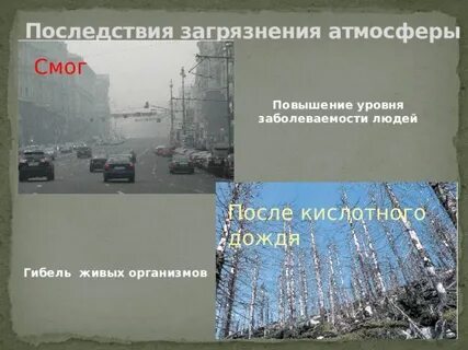 Последствия данных загрязнений атмосферы